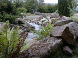 Watercourse running down to the pond